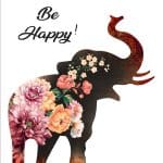 FABRIC TRANSFER FT-064