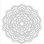 CONTOUR FABRIC TRANSFER FCT-01