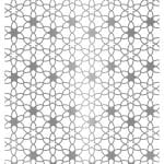 KUMAS GÜMÜŞ VARAK TRANSFER KV21