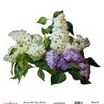 EVRENSEL PİRİNÇ KAĞIT KOLEKSİYON BEYAZ ZEMİN UC-004 30X30