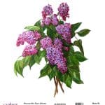 EVRENSEL PİRİNÇ KAĞIT KOLEKSİYON BEYAZ ZEMİN UC-013 30X30