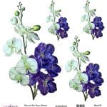 EVRENSEL PİRİNÇ KAĞIT KOLEKSİYON BEYAZ ZEMİN UC-021 30X30