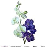 EVRENSEL PİRİNÇ KAĞIT KOLEKSİYON BEYAZ ZEMİN UC-022 30X30