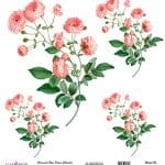 EVRENSEL PİRİNÇ KAĞIT KOLEKSİYON BEYAZ ZEMİN UC-042 30X30