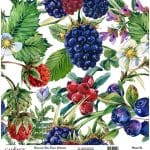 UNIVERSAL RICE PAPER COLLECTION WHITE BACKGROUND UC-137 30X30