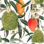 UNIVERSAL RICE PAPER COLLECTION WHITE BACKGROUND UC-146 30X30
