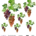 UNIVERSAL RICE PAPER COLLECTION WHITE BACKGROUND UC-162 30X30