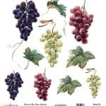 UNIVERSAL RICE PAPER COLLECTION WHITE BACKGROUND UC-163 30X30