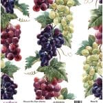 UNIVERSAL RICE PAPER COLLECTION WHITE BACKGROUND UC-164 30X30