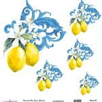 UNIVERSAL RICE PAPER COLLECTION WHITE BACKGROUND UC-169 30X30