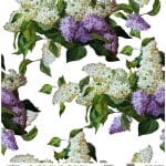 UNIVERSAL RICE PAPER COLLECTION WHITE BACKGROUND UC-005 60X60