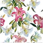 UNIVERSAL RICE PAPER COLLECTION WHITE BACKGROUND UC-009 60X60