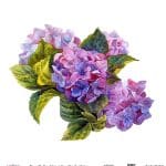 EVRENSEL PİRİNÇ KAĞIT KOLEKSİYON BEYAZ ZEMİN UC-016 60X60