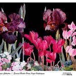 UNIVERSAL RICE PAPER COLLECTION WHITE BACKGROUND UBC-002 30X68