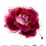 WATERCOLOR FLOWER RICE PAPER COLECTION WHITE GROUND WFC-026 30X30