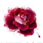 WATERCOLOR FLOWER RICE PAPER COLECTION WHITE GROUND WFC-026 90X90