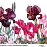 EVRENSEL BORDÜR PİRİNÇ KAĞIT KOLEKSİYON BEYAZ ZEMİN UBC-001 30X68