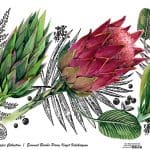 EVRENSEL BORDÜR PİRİNÇ KAĞIT KOLEKSİYON BEYAZ ZEMİN UBC-015 30X68