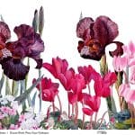 EVRENSEL BORDÜR PİRİNÇ KAĞIT KOLEKSİYON BEYAZ ZEMİN UBC-001 60X140