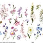 EVRENSEL BORDÜR PİRİNÇ KAĞIT KOLEKSİYON BEYAZ ZEMİN UBC-013 90X214