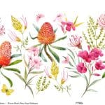 EVRENSEL BORDÜR PİRİNÇ KAĞIT KOLEKSİYON BEYAZ ZEMİN UBC-023 90X214