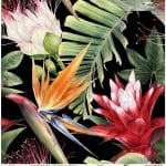 UNIVERSAL BORDURE RICE PAPER COLLECTION BLACK GROUND UC-150 90X90