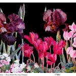 UNIVERSAL BORDURE RICE PAPER COLLECTION BLACK GROUND UBC-002 60X140