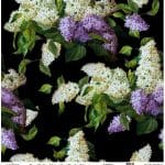 UNIVERSAL BORDURE RICE PAPER COLLECTION BLACK GROUND UC-006 60X60