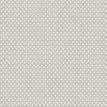 RICE PAPER MODEL 103 30X42