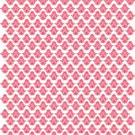 PİRİNÇ KAĞIT MODEL 108 30X42