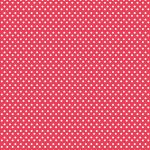 PİRİNÇ KAĞIT MODEL 110 30X42