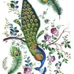 RICE PAPER MODEL 120 30X42