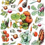 PİRİNÇ KAĞIT MODEL 25 30X42