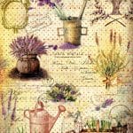 PİRİNÇ KAĞIT MODEL 33 30X42