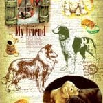 PİRİNÇ KAĞIT MODEL 37 30X42