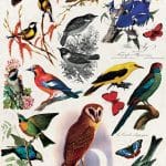 PİRİNÇ KAĞIT MODEL 48 30X42