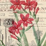 RICE PAPER MODEL 56 30X42