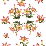 PİRİNÇ KAĞIT MODEL 77 30X42