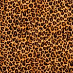 PİRİNÇ KAĞIT MODEL 80 30X42