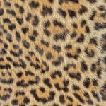 PİRİNÇ KAĞIT MODEL 81 30X42