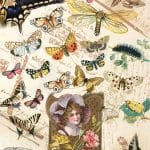 RICE PAPER MODEL 83 30X42