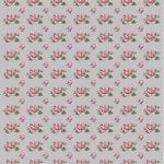 RICE PAPER MODEL 90 30X42