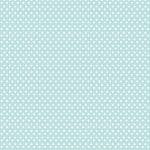 PİRİNÇ KAĞIT MODEL 95 30X42