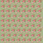 PİRİNÇ KAĞIT MODEL 99 30X42