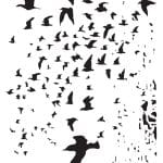 MIX MEDİA STENCIL MA SERİSİ MA75 21X29