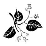 D SERIES STENCIL D250 15X20