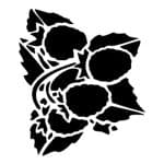 D SERIES STENCIL D648 15X20