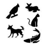 D SERİSİ STENCIL D924 15X20