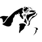 D SERIES STENCIL D954 15X20