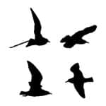 D SERIES STENCIL D1004 15X20